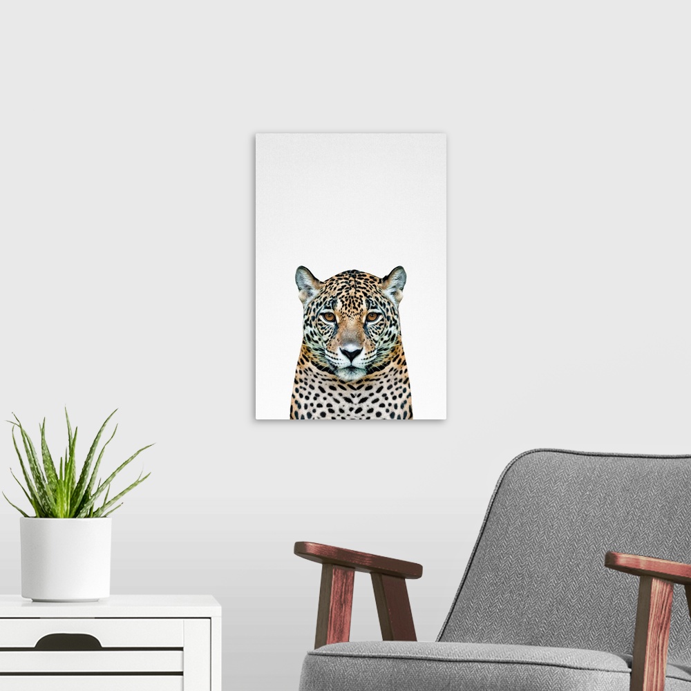 A modern room featuring An image of a leopard.