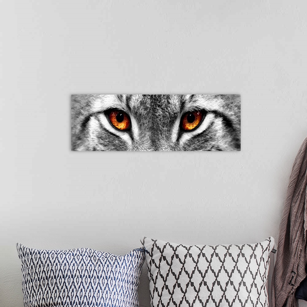 A bohemian room featuring Black and white close up image of the eyes of a lynx with the eyes colored brown.
