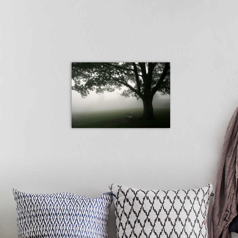 A bohemian room featuring A horizontal photograph of a bench under a tree in the mist.