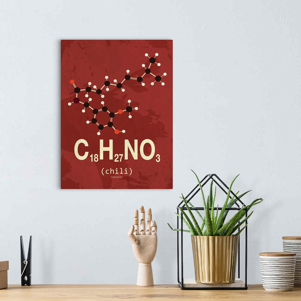 A bohemian room featuring Graphic illustration of the chemical formula for chili.