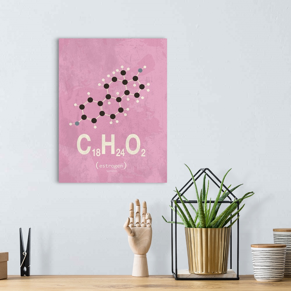 A bohemian room featuring Graphic illustration of the chemical formula for Estrogene.