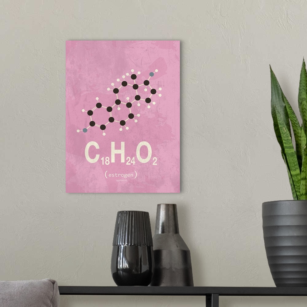 A modern room featuring Graphic illustration of the chemical formula for Estrogene.