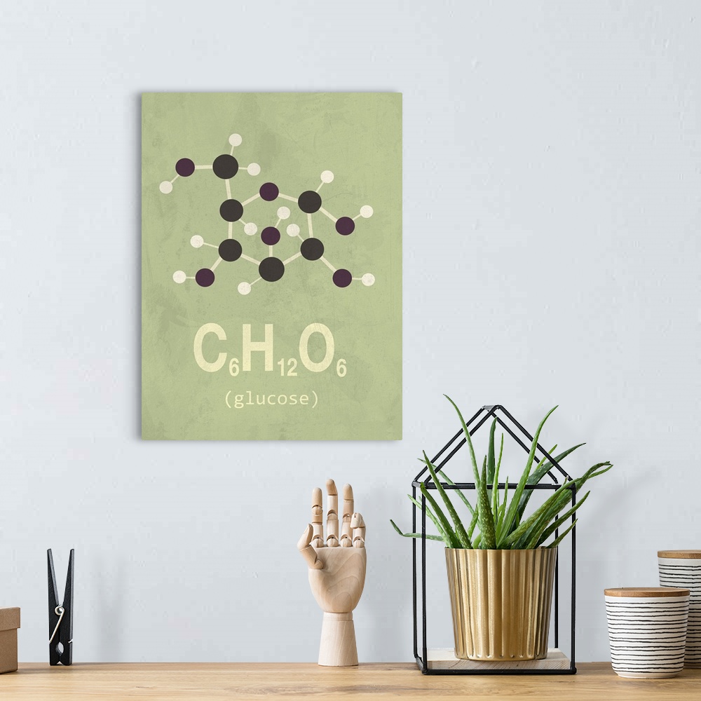 A bohemian room featuring Graphic illustration of the chemical formula for Glucose.