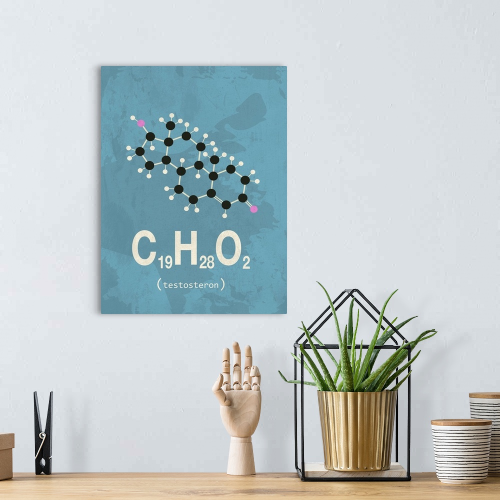 A bohemian room featuring Graphic illustration of the chemical formula for Testosterone.