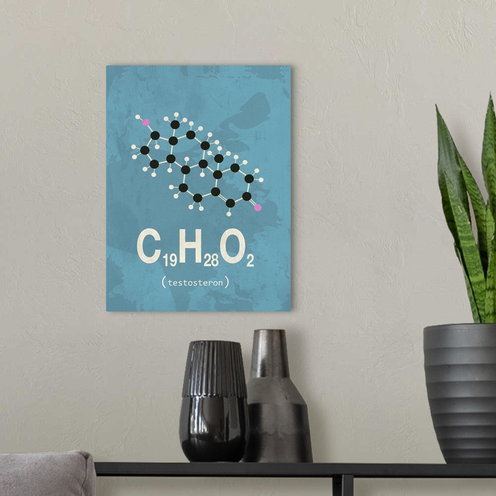 A modern room featuring Graphic illustration of the chemical formula for Testosterone.