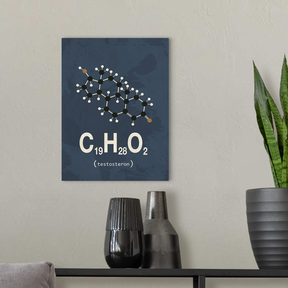A modern room featuring Graphic illustration of the chemical formula for Testosterone.