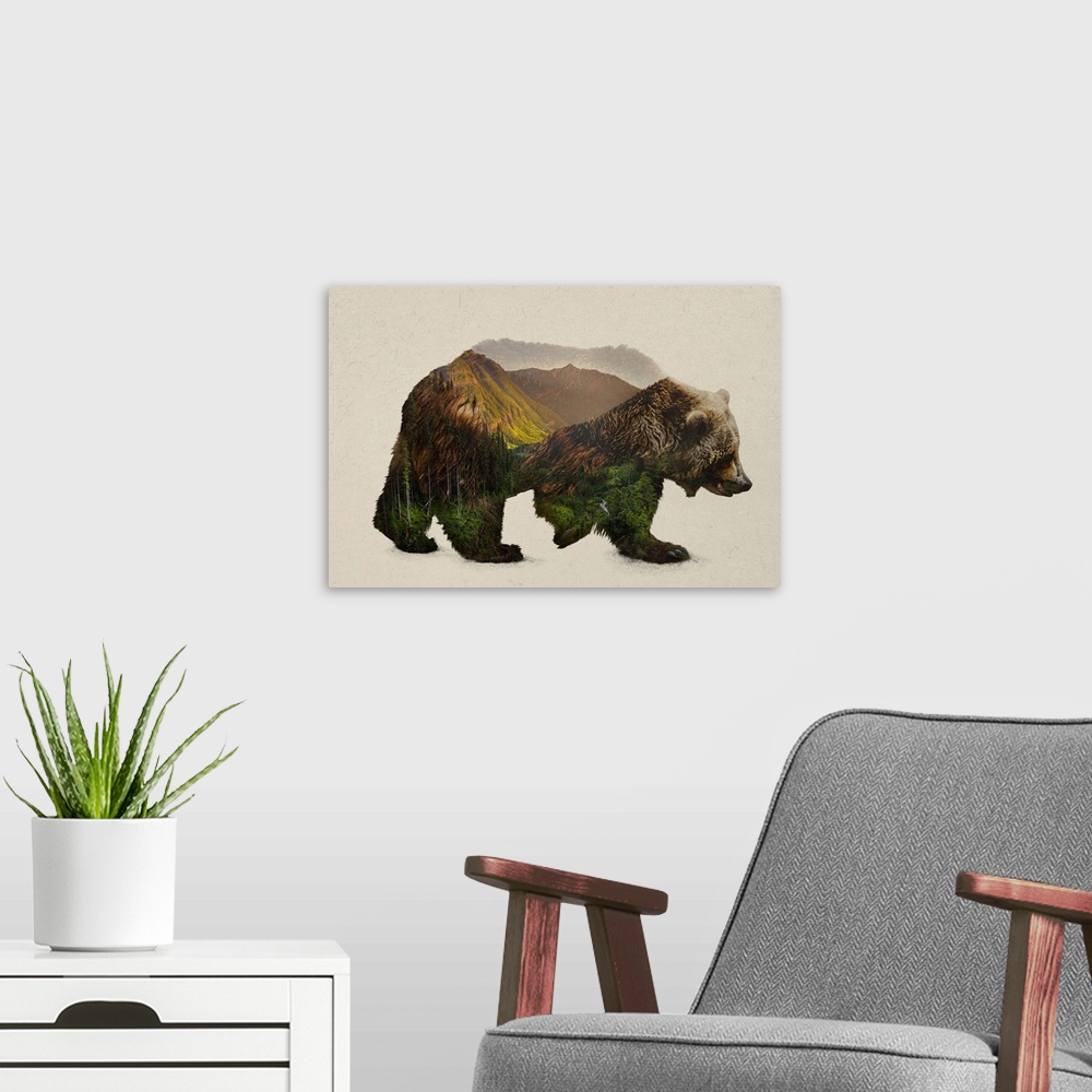 A modern room featuring North American Brown Bear