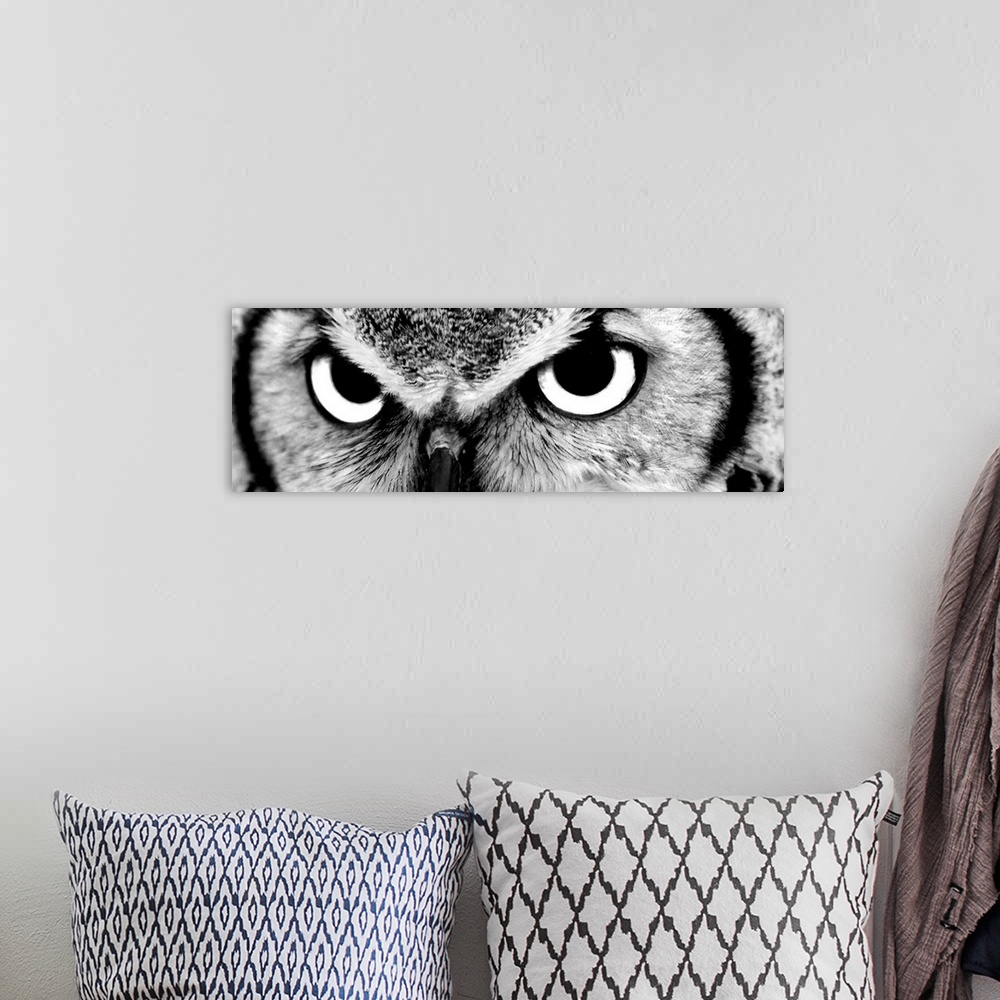 A bohemian room featuring Black and white close up image of the eyes of an owl.