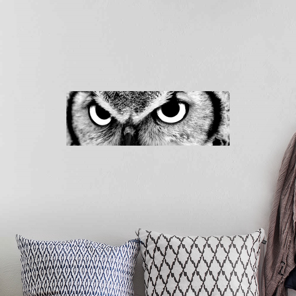 A bohemian room featuring Black and white close up image of the eyes of an owl.