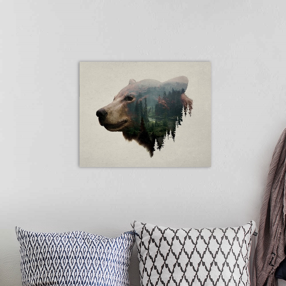 A bohemian room featuring Pacific Northwest Black Bear