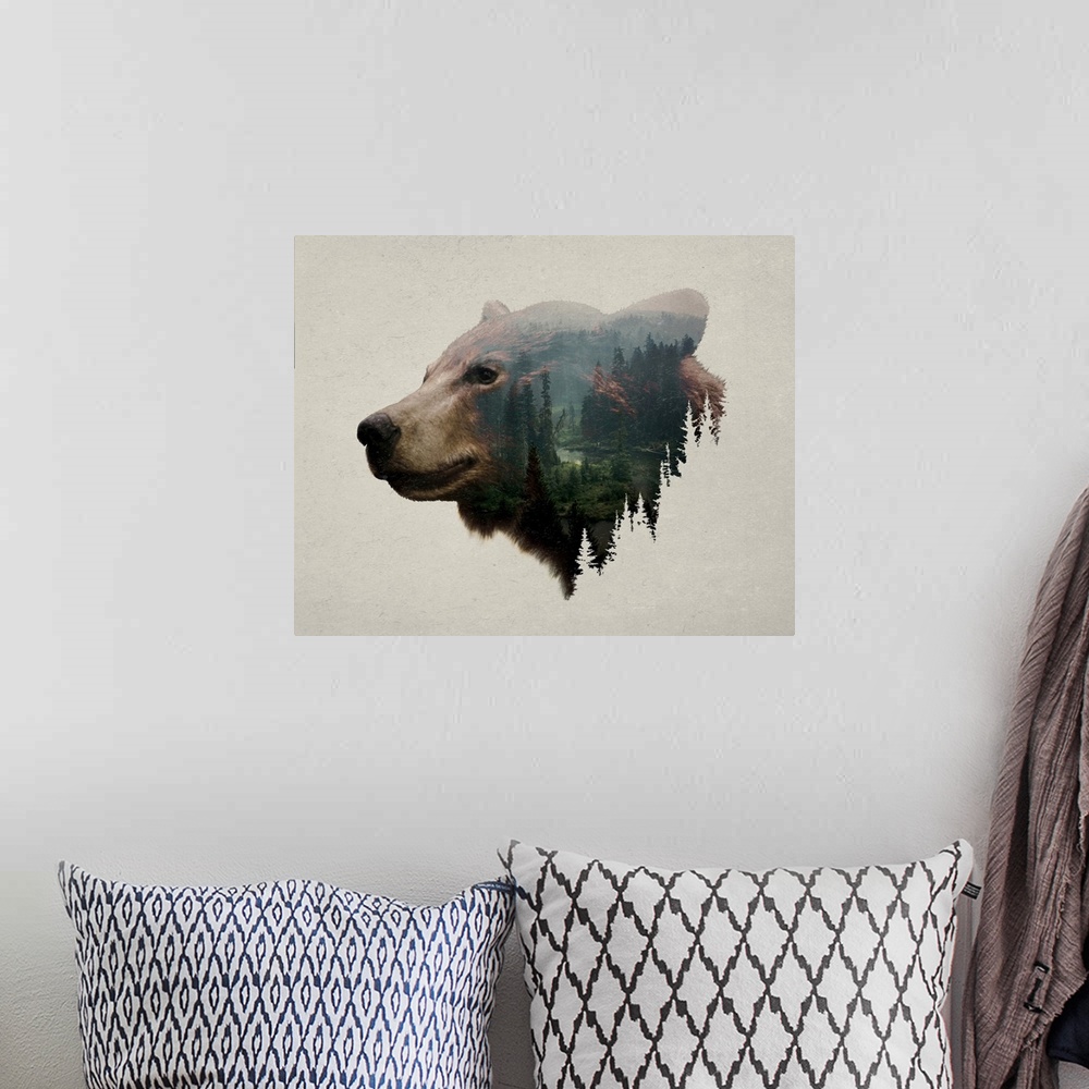 A bohemian room featuring Pacific Northwest Black Bear