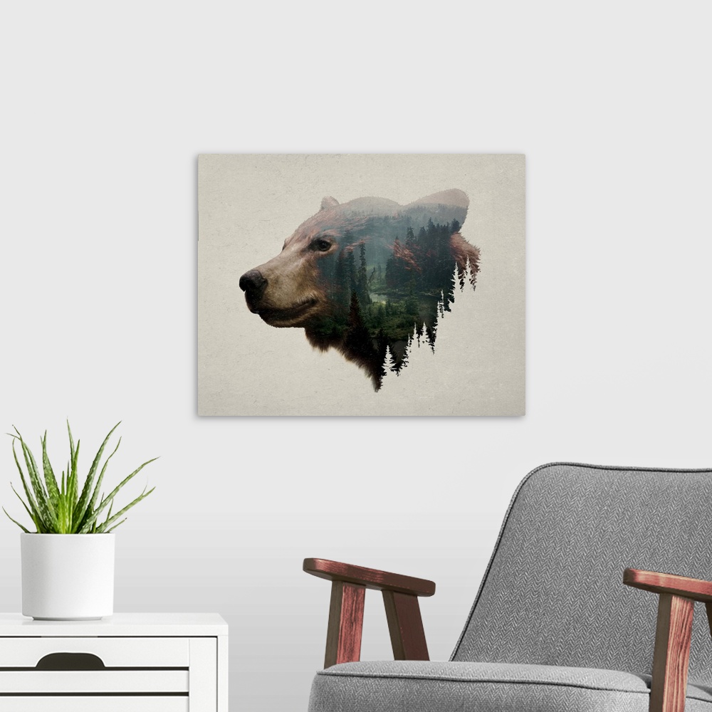 A modern room featuring Pacific Northwest Black Bear