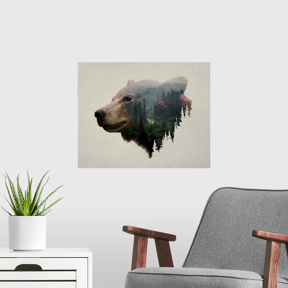 A modern room featuring Pacific Northwest Black Bear