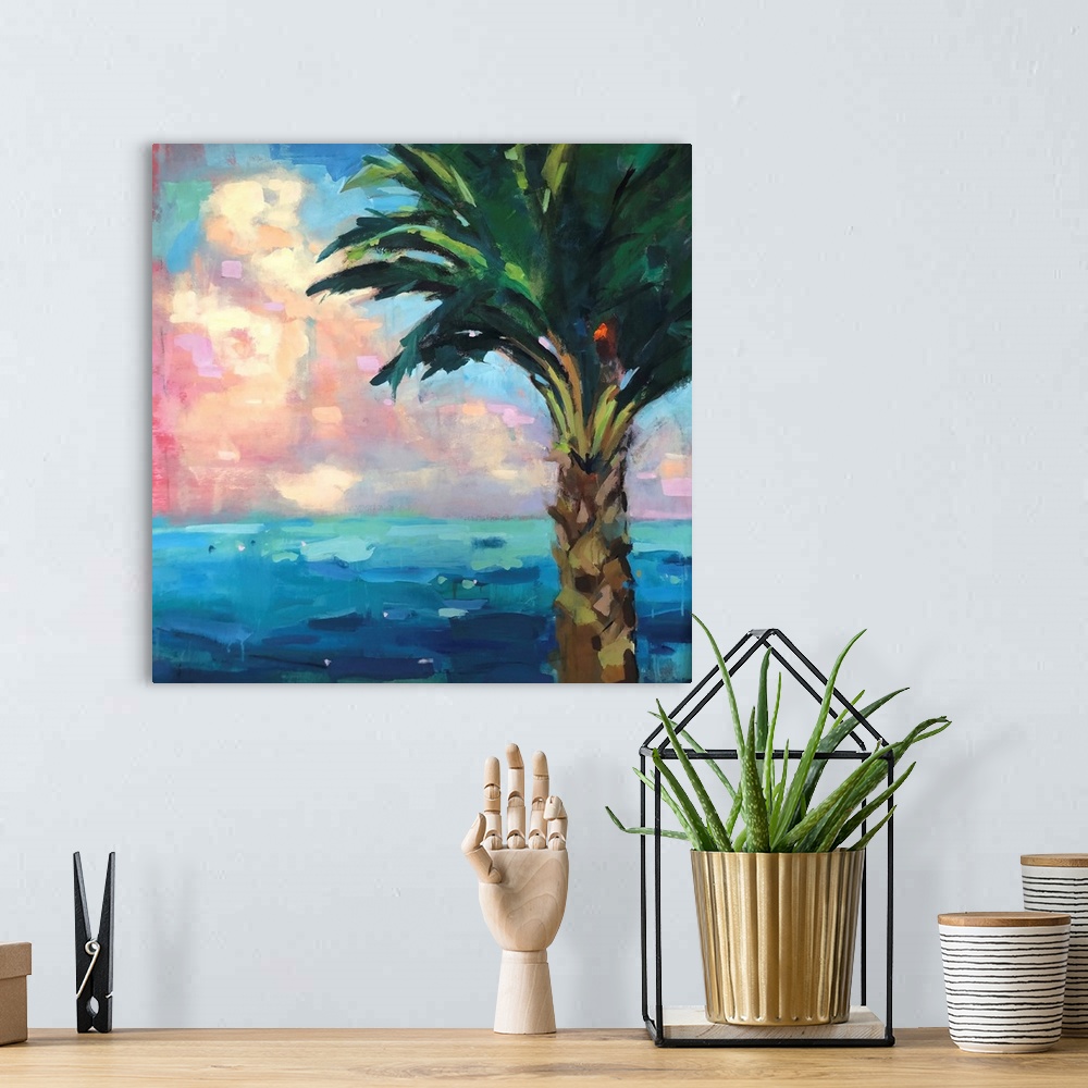 A bohemian room featuring Palm