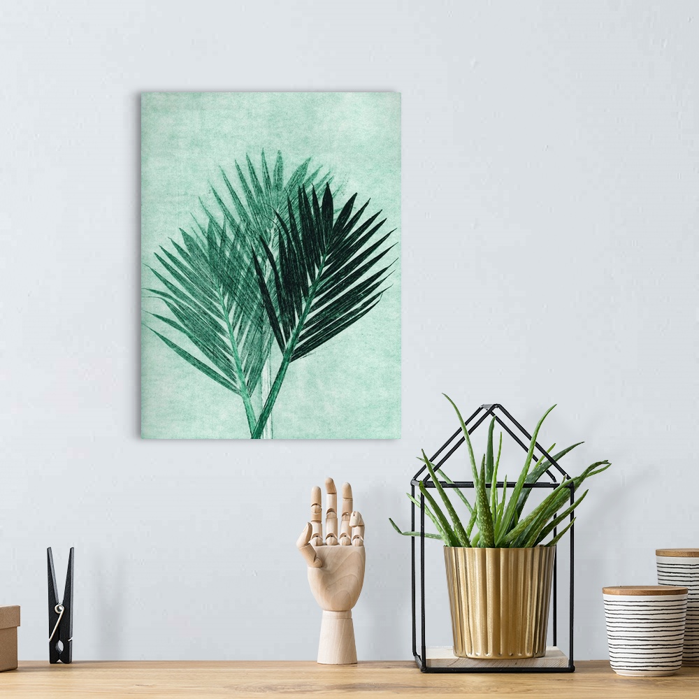 A bohemian room featuring Palm 4 Green