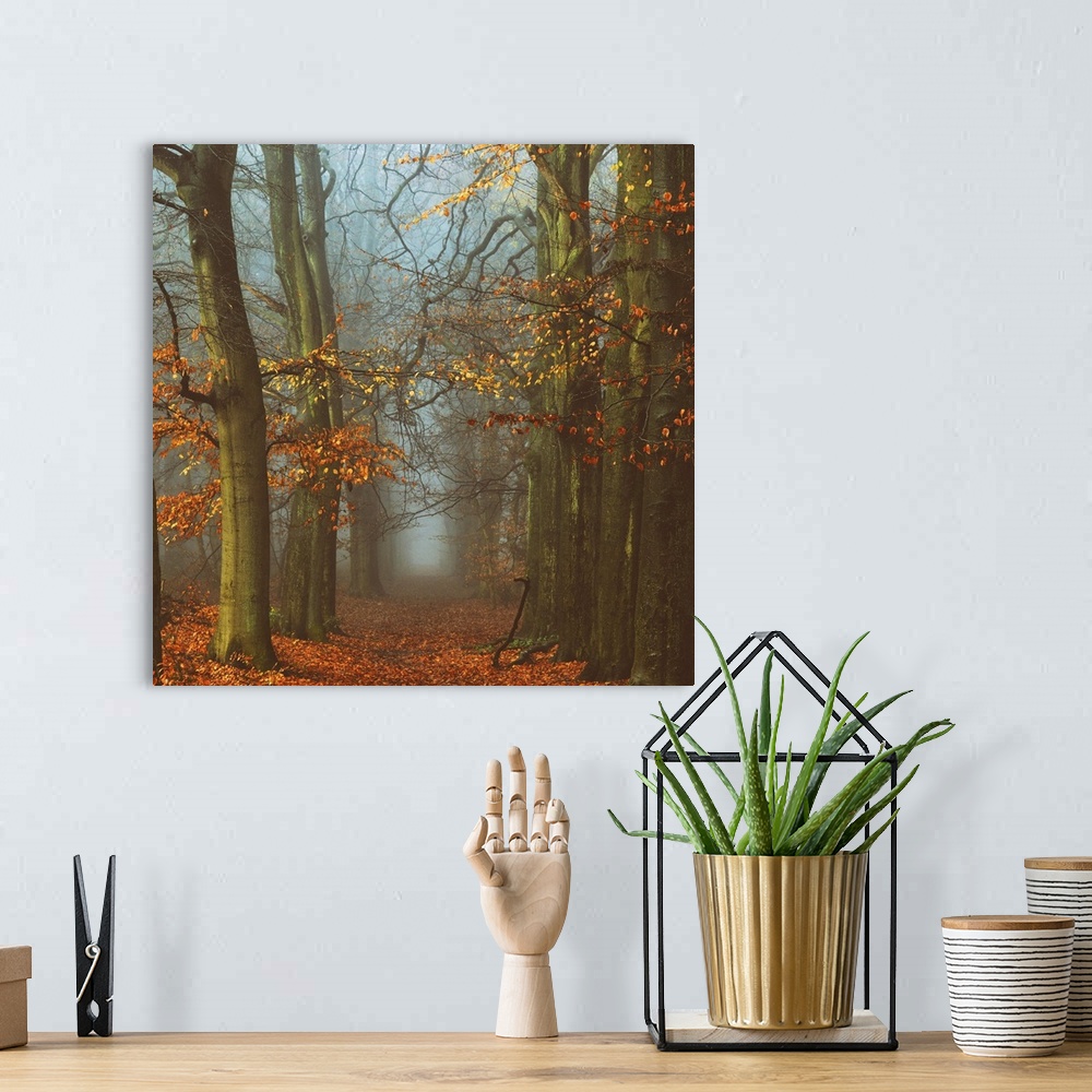 A bohemian room featuring A photograph of a forest in autumn foliage looking down a foggy path.