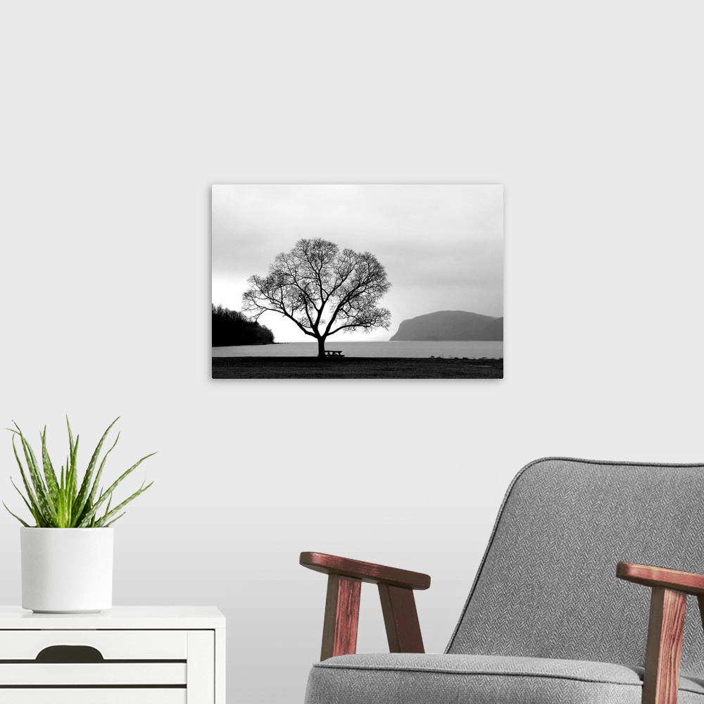 A modern room featuring A black and white photograph of a single tree with a picnic table next to a lake.