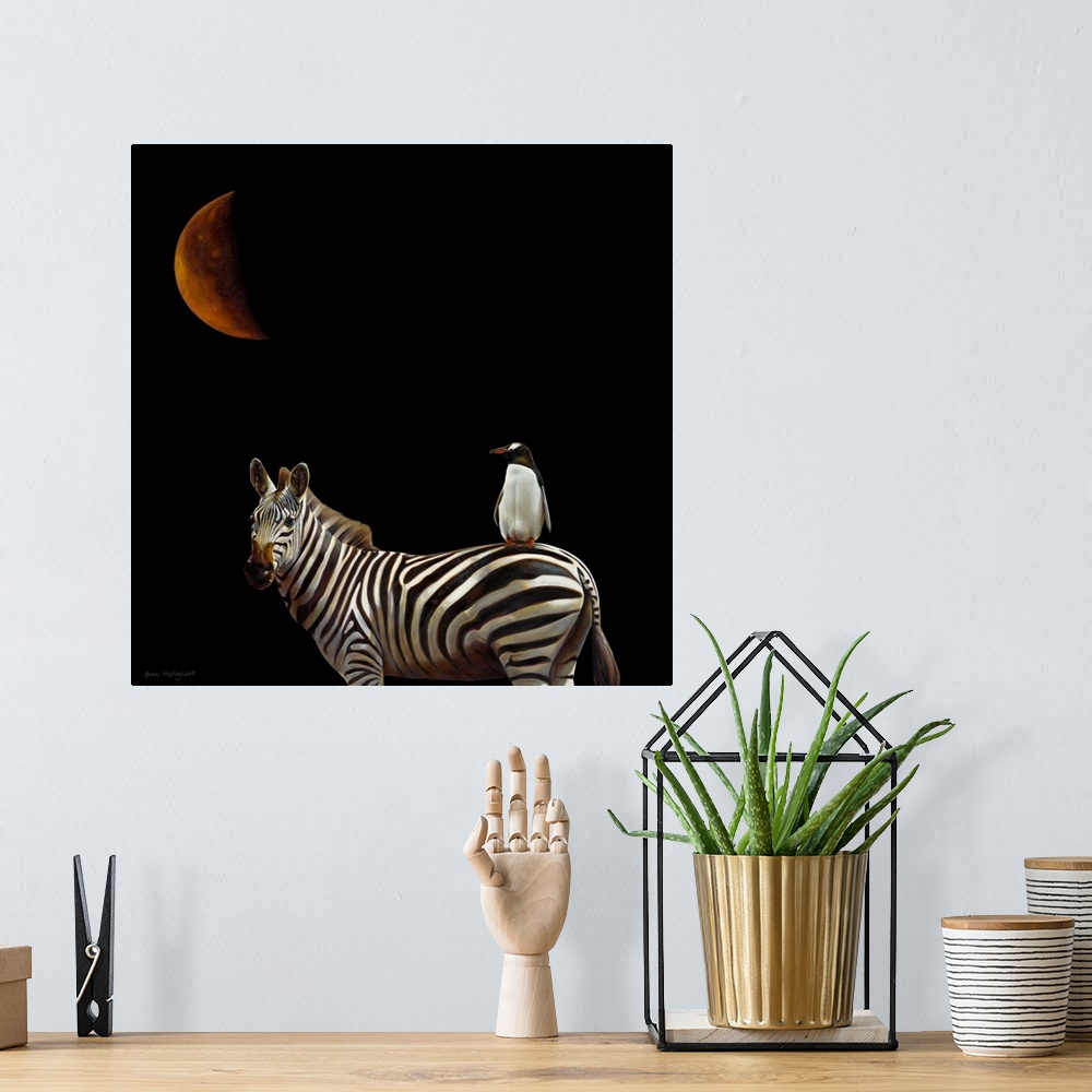 A bohemian room featuring Conceptual photo of a penguin riding a zebra under a red crescent moon.