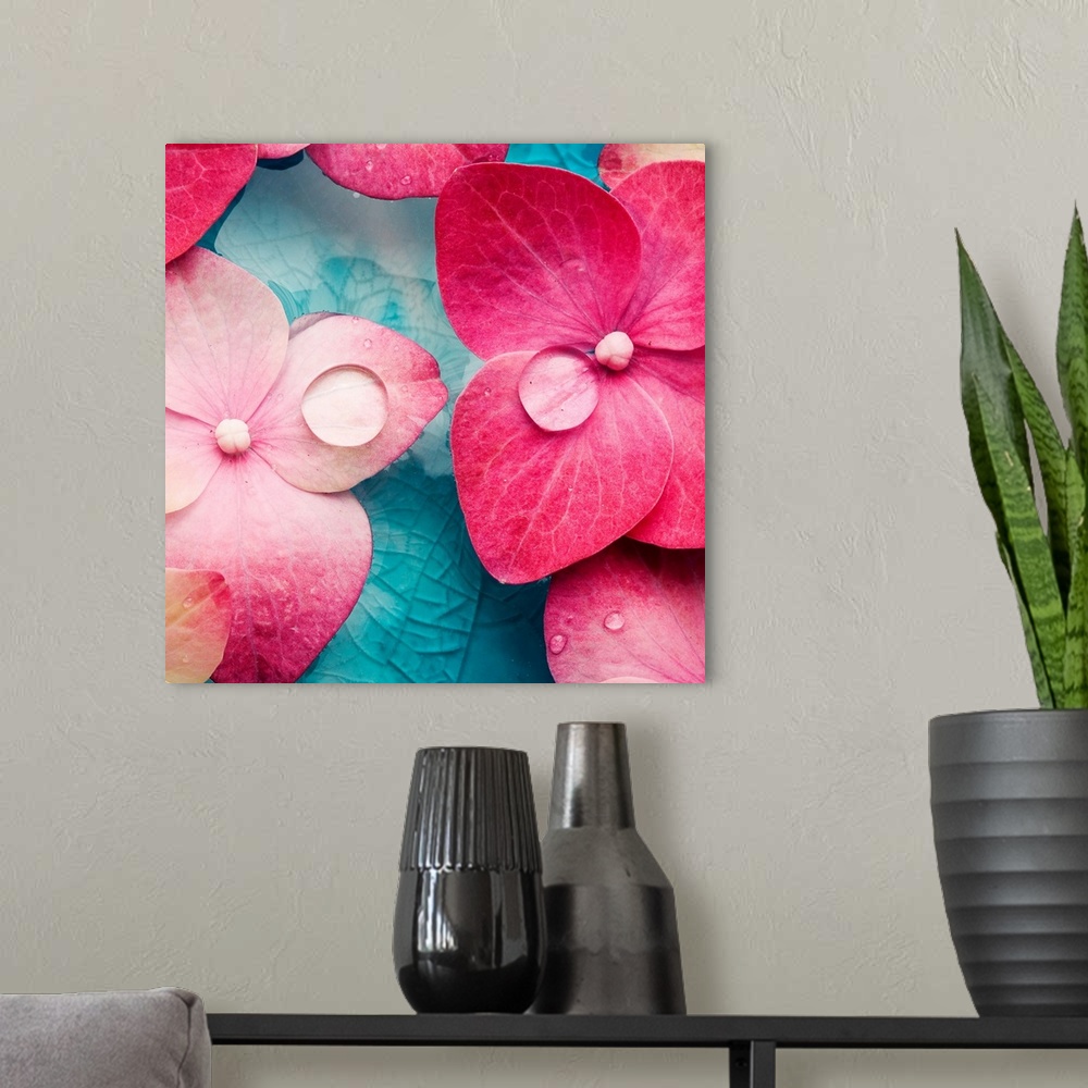 A modern room featuring A square photograph of pink flowers with water droplets on the petals.