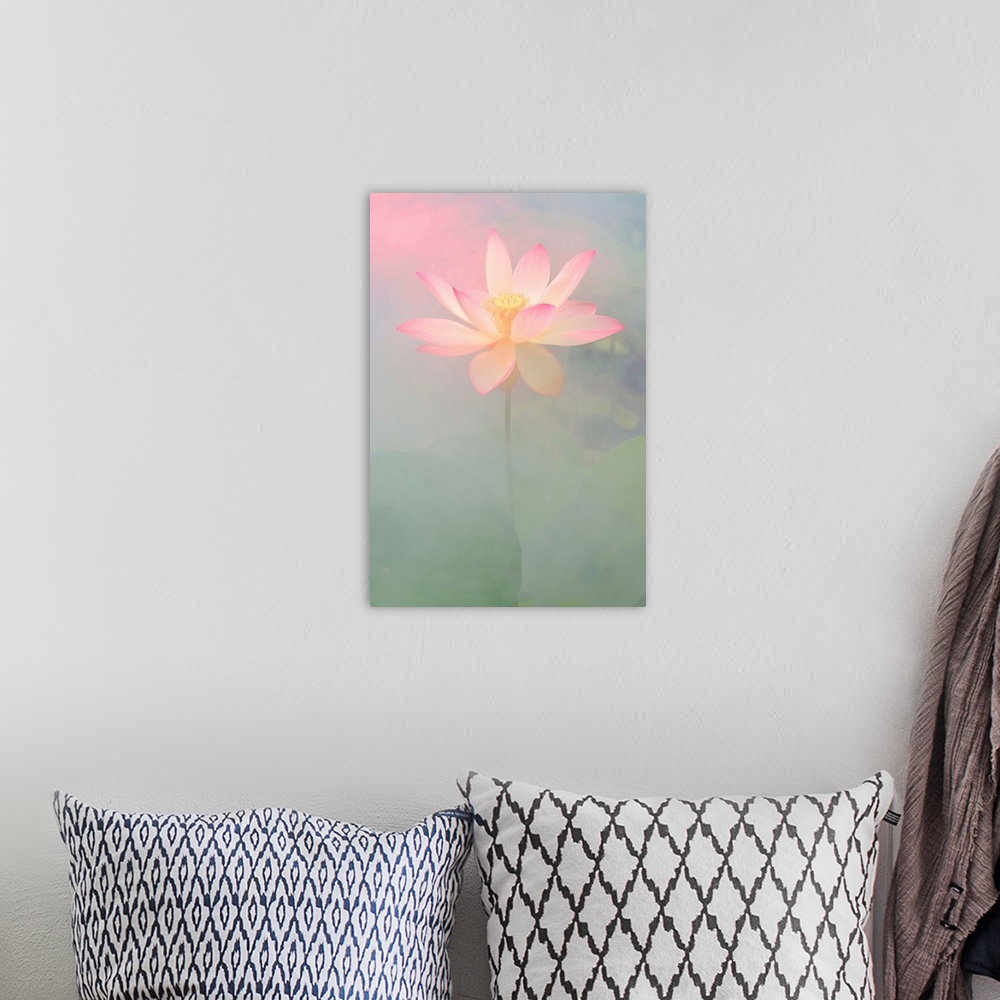 A bohemian room featuring A soft pastel colored photograph of a white flower with pink tips on the petals.