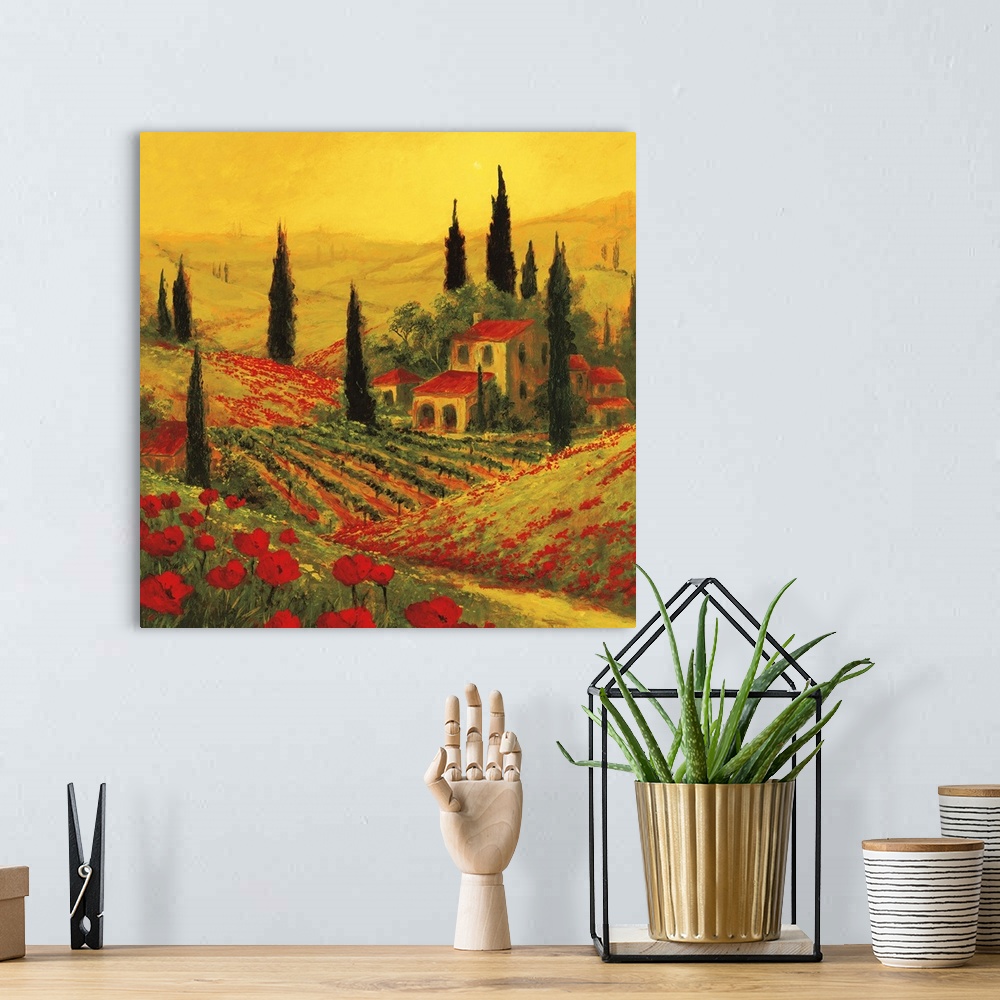 A bohemian room featuring Poppies of Toscano II