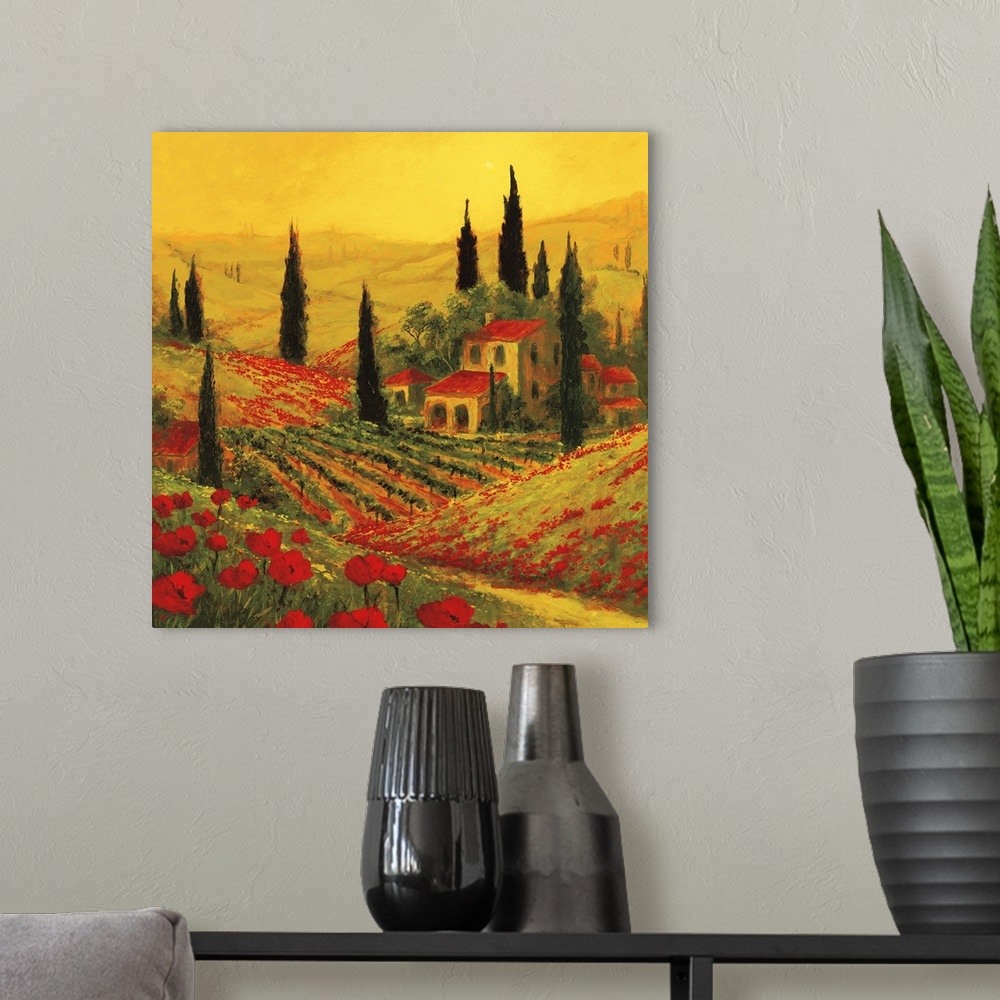 A modern room featuring Poppies of Toscano II