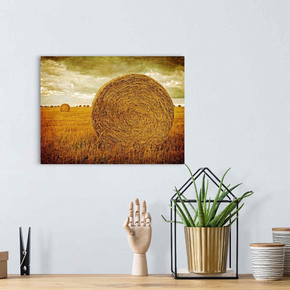 A bohemian room featuring Round hay rolls in a farm field on Prince Edward Island, Canada by Edward M. Fielding.