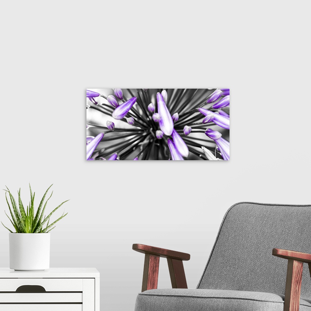 A modern room featuring Horizontal image of a closeup of purple flower.