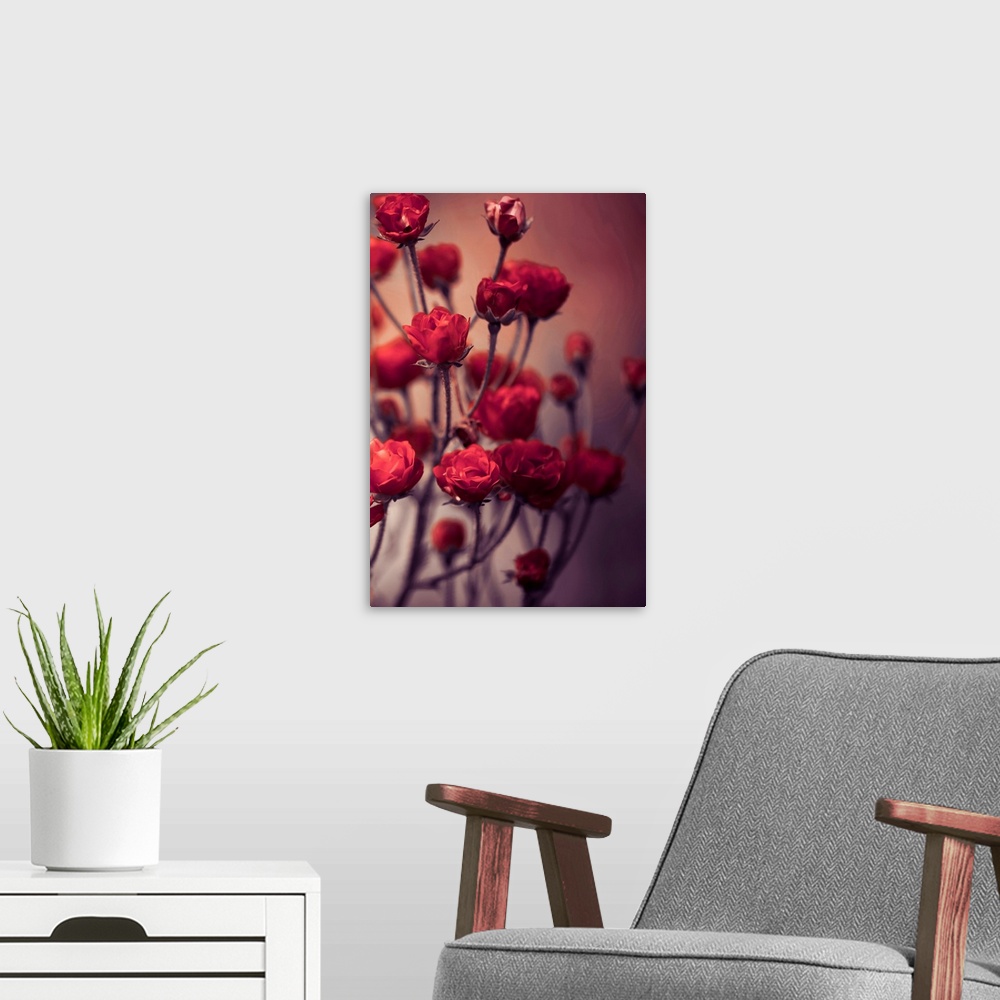 A modern room featuring Red Flowers