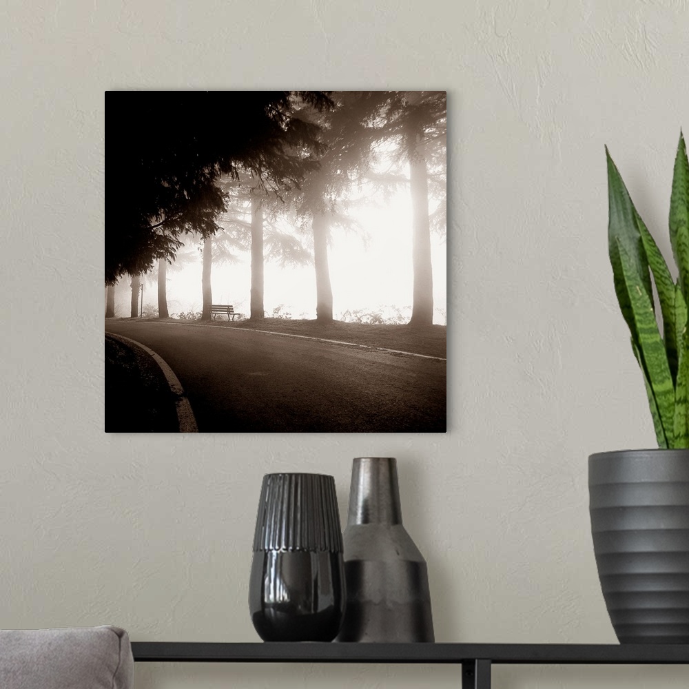 A modern room featuring A monochromatic photograph of a row of trees with a bench next to a road.