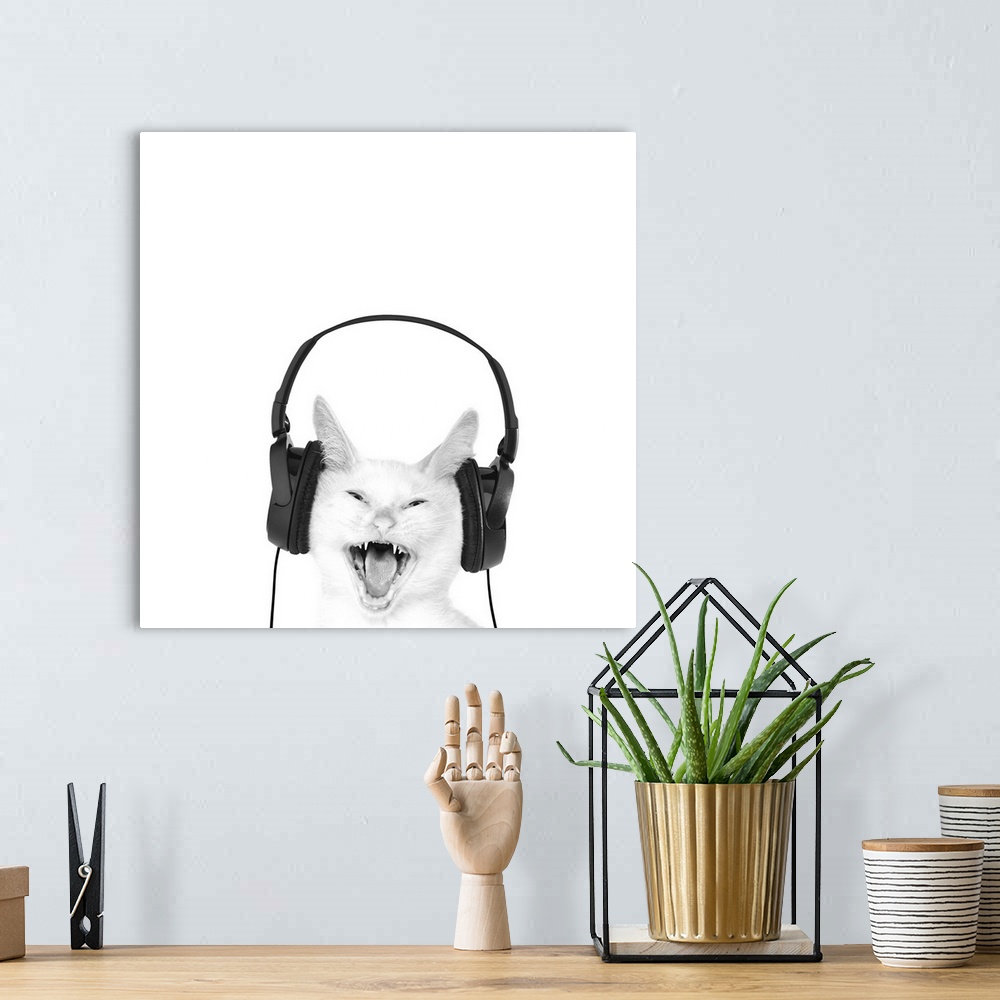 A bohemian room featuring A square image of a white cat wearing headphones.