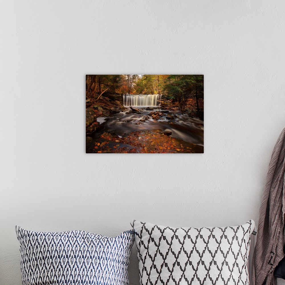 A bohemian room featuring A photograph of a forest in autumn tones.