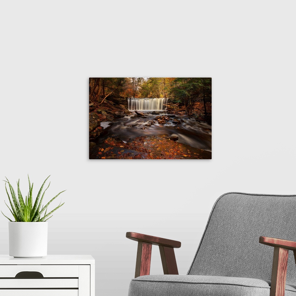 A modern room featuring A photograph of a forest in autumn tones.
