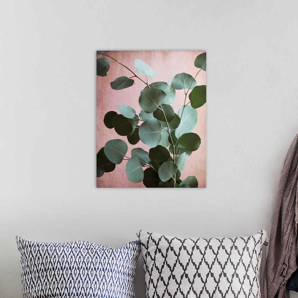A bohemian room featuring Photography of eucalyptus leaves set against a contrasting pink background.