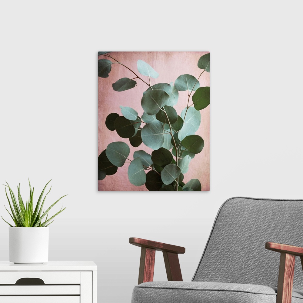 A modern room featuring Photography of eucalyptus leaves set against a contrasting pink background.