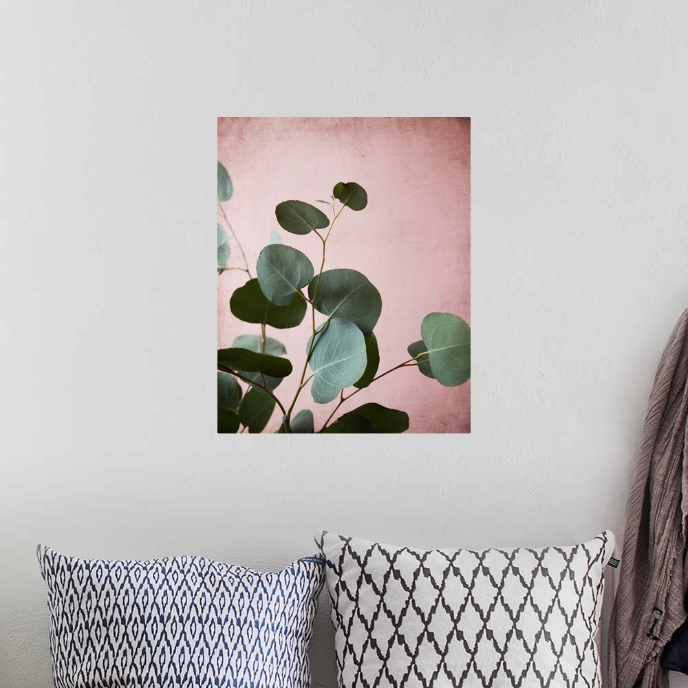 A bohemian room featuring Photography of eucalyptus leaves set against a contrasting pink background.