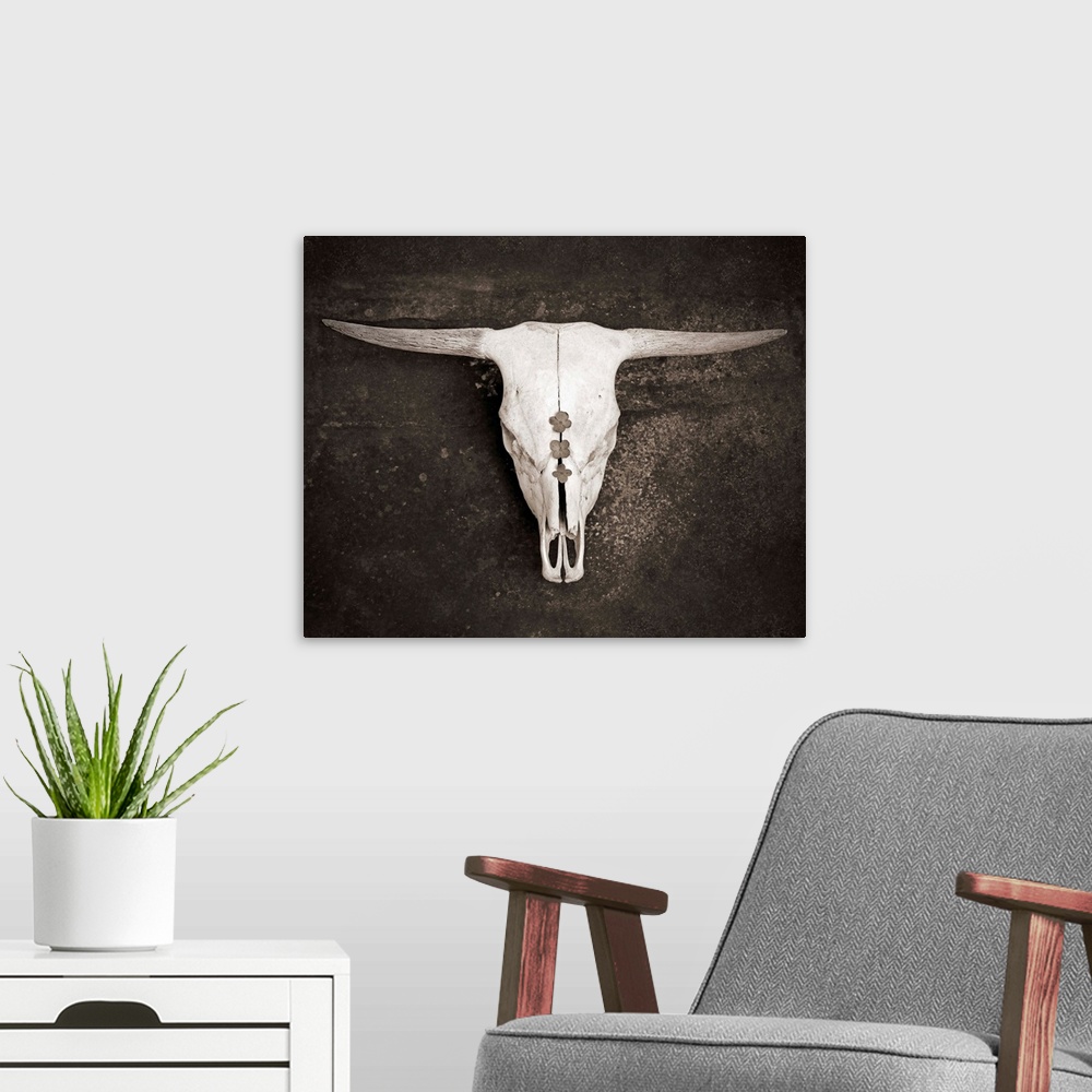 A modern room featuring Sepia Cattle Skull