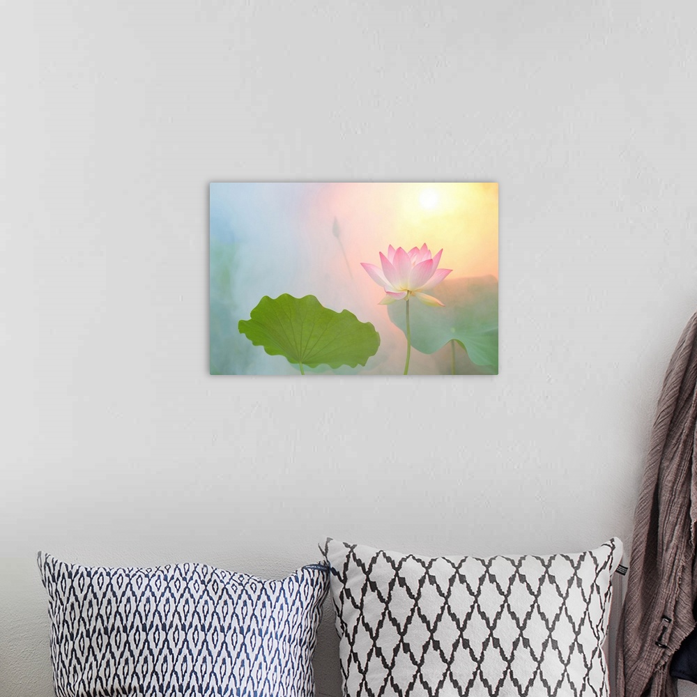 A bohemian room featuring A soft pastel colored photograph of a pink flower.