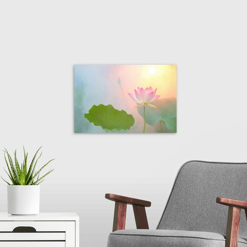 A modern room featuring A soft pastel colored photograph of a pink flower.