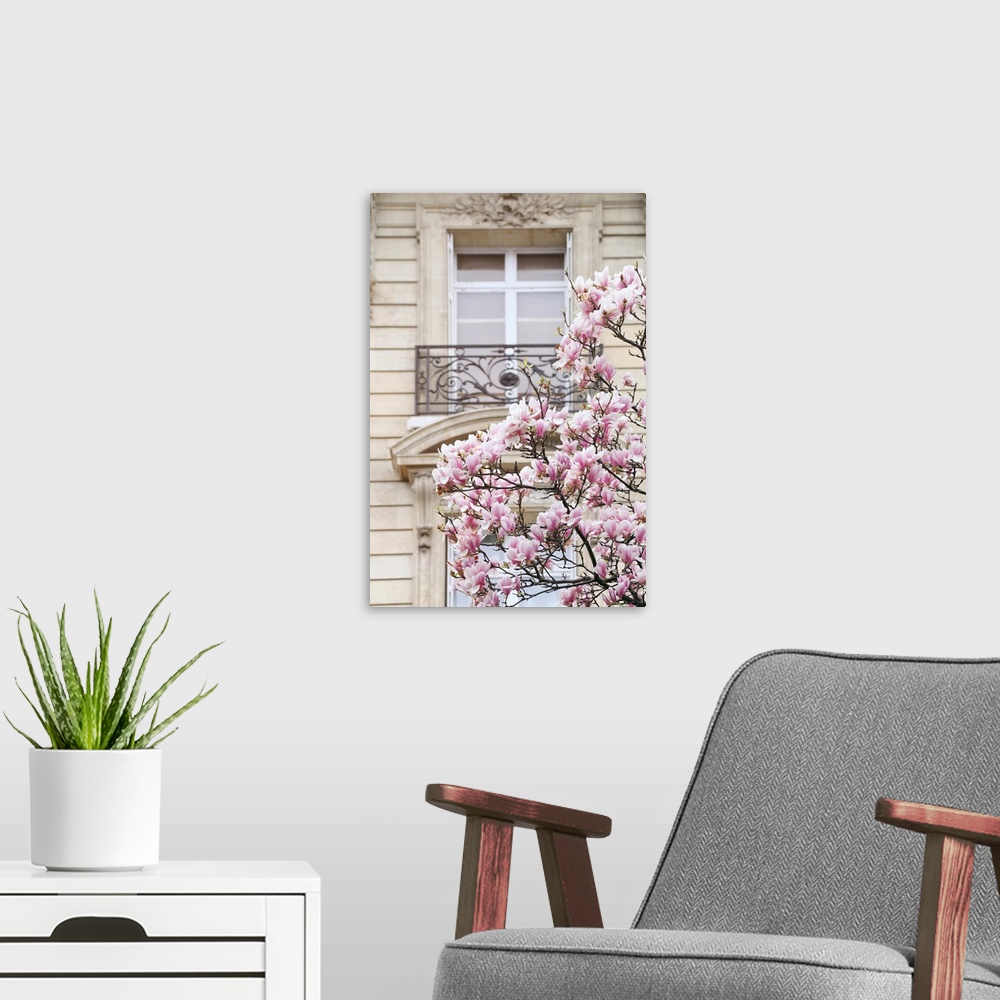A modern room featuring Spring Magnolias In Paris