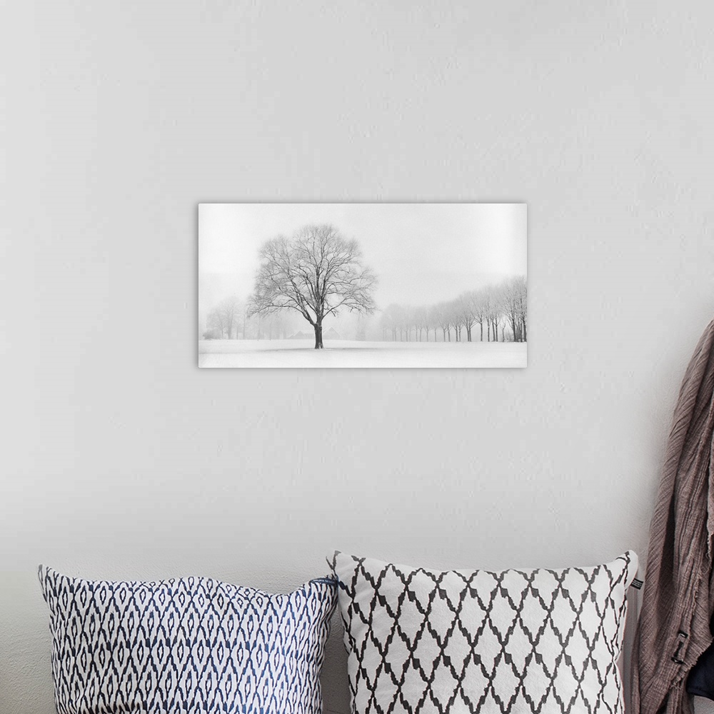 A bohemian room featuring A photograph of an idyllic countryside scene in winter with trees and the landscape covered in snow.