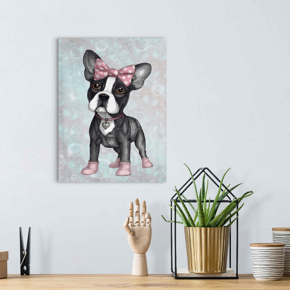 A bohemian room featuring A petite french bulldog with a pink bow, collar and booties.