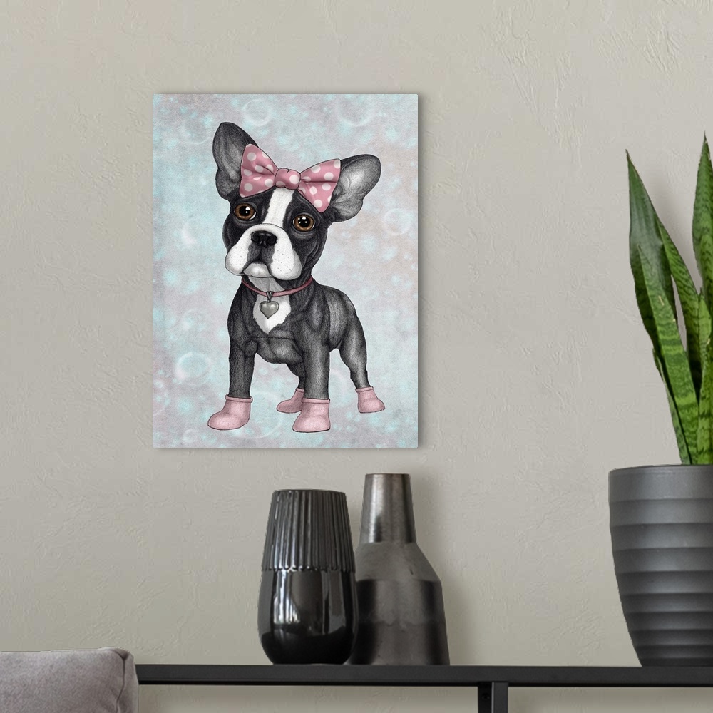 A modern room featuring A petite french bulldog with a pink bow, collar and booties.