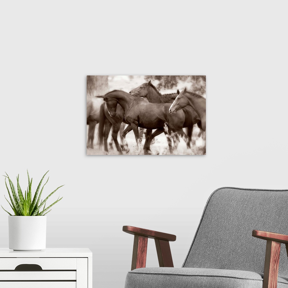A modern room featuring The Herd