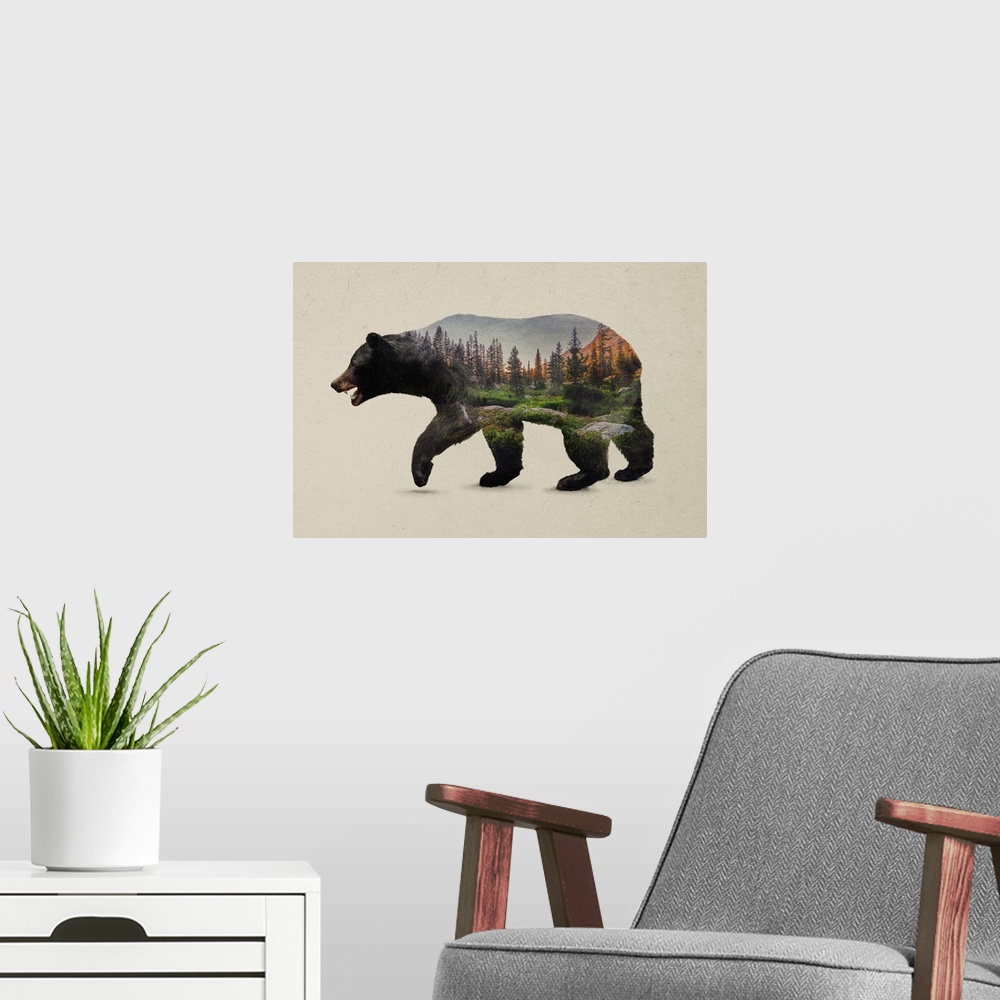 A modern room featuring The North American Black Bear