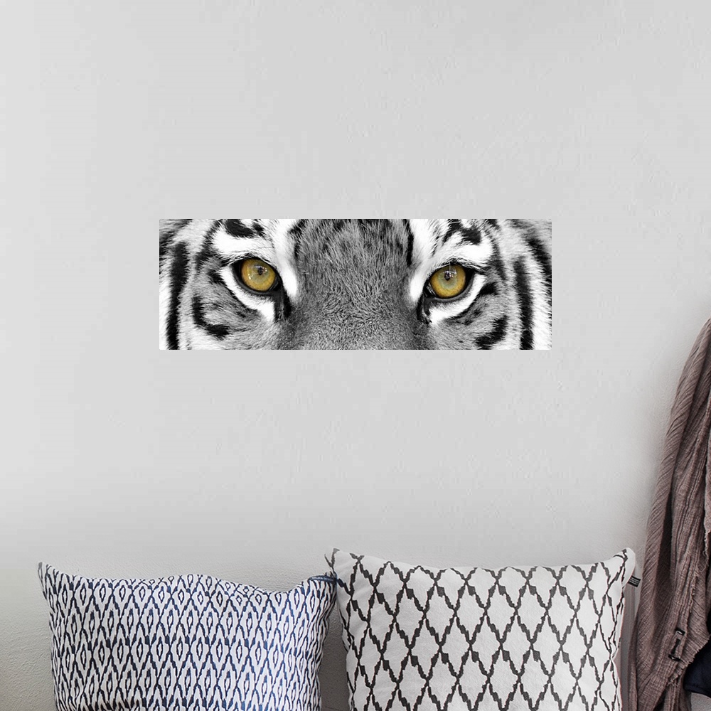 A bohemian room featuring Black and white close-up portrait of the big tiger on stone wall background.