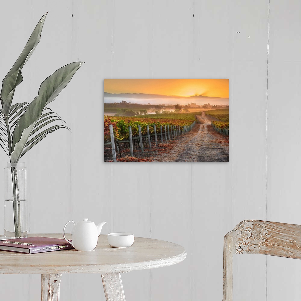 A farmhouse room featuring Vineyard Sunrise