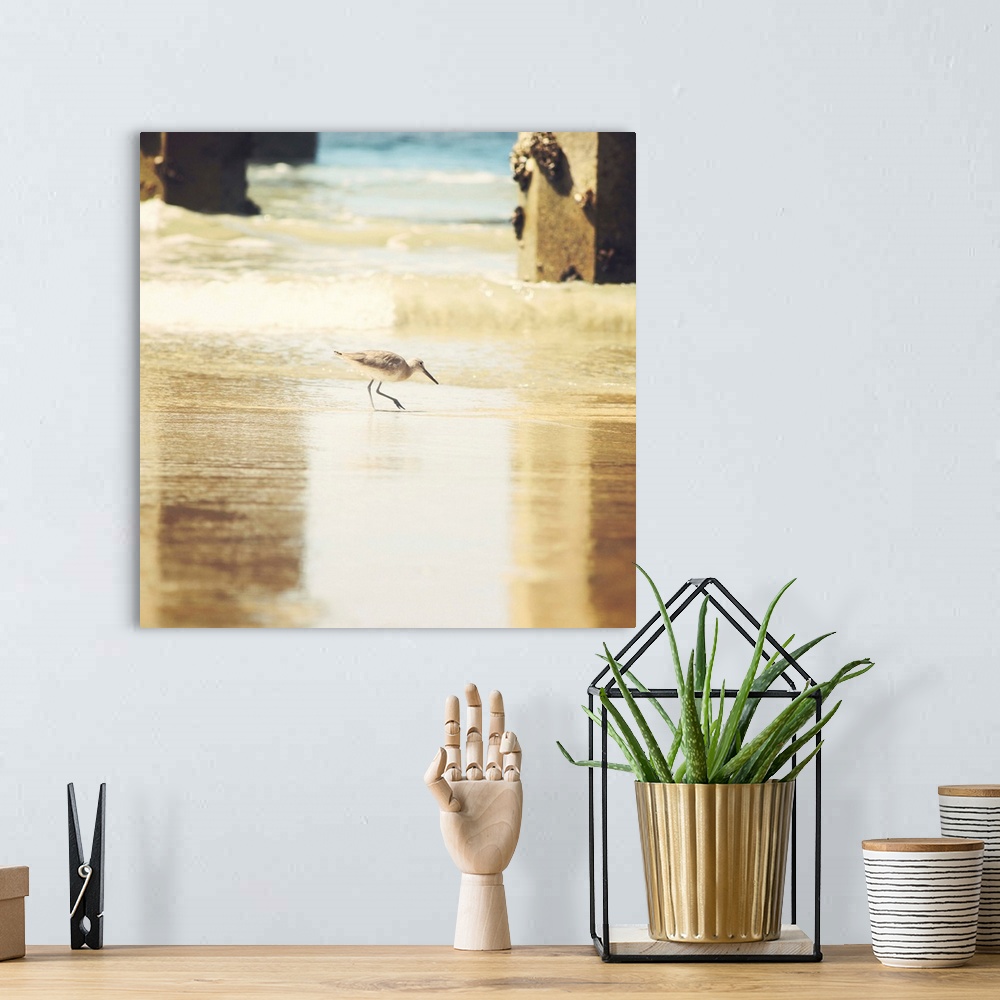 A bohemian room featuring Walking on The Beach