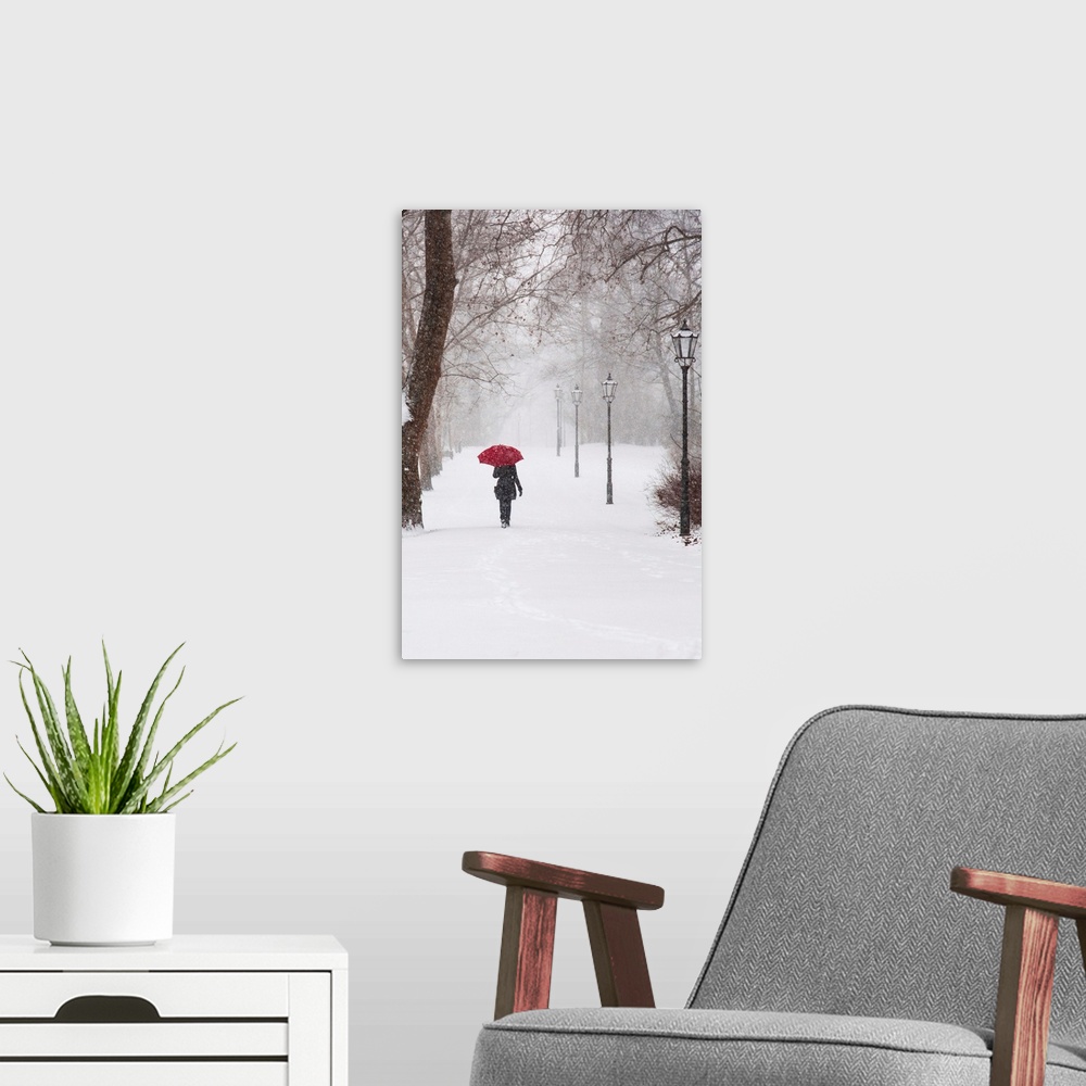 A modern room featuring A photograph of a person holding a red umbrella walking through the snow in a park.