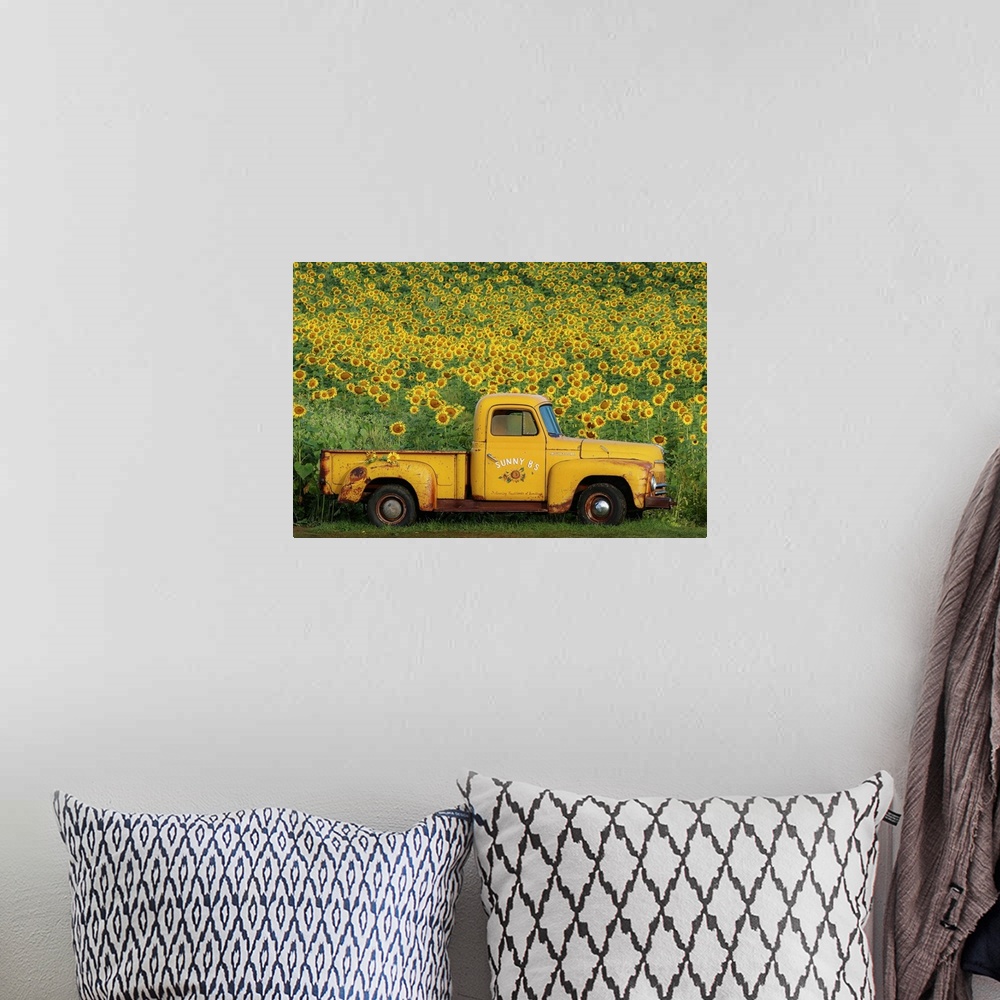 A bohemian room featuring A rustic style photograph of a vintage yellow pick up truck parked in front of a field of sunflow...